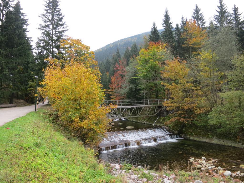 Apartment Medvedin 87 Špindlerŭv Mlýn Buitenkant foto